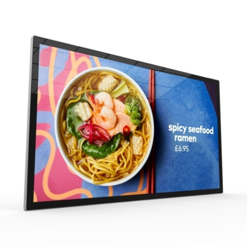Allsee 22" Slimline Pro Advertising Display PF22HD9