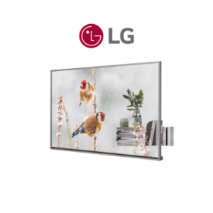 LG 55EW5P-M OLED Transparent
